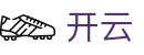 开云(中国)-官方网站-登录入口-kaiyunsports